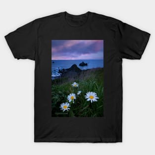 Wild Daisies at Sunset T-Shirt